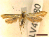  ( - CLV45280)  @11 [ ] CreativeCommons  Attribution Non-Commercial Share-Alike (2022) Carlos Lopez Vaamonde Institut National de la Recherche Agronomique, Zoologie Forestiere