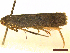  ( - CLV45322)  @11 [ ] CreativeCommons  Attribution Non-Commercial Share-Alike (2022) Carlos Lopez Vaamonde Institut National de la Recherche Agronomique, Zoologie Forestiere