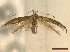  ( - CLV45381)  @11 [ ] CreativeCommons  Attribution Non-Commercial Share-Alike (2022) Carlos Lopez Vaamonde Institut National de la Recherche Agronomique, Zoologie Forestiere