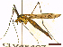  ( - CLV45407)  @11 [ ] CreativeCommons  Attribution Non-Commercial Share-Alike (2022) Carlos Lopez Vaamonde Institut National de la Recherche Agronomique, Zoologie Forestiere