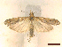  ( - CLV45623)  @11 [ ] CreativeCommons  Attribution Non-Commercial Share-Alike (2022) Carlos Lopez Vaamonde Institut National de la Recherche Agronomique, Zoologie Forestiere