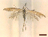  ( - CLV45687)  @11 [ ] CreativeCommons  Attribution Non-Commercial Share-Alike (2023) Carlos Lopez Vaamonde Institut National de la Recherche Agronomique, Zoologie Forestiere