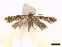  ( - CLV45807)  @11 [ ] CreativeCommons  Attribution Non-Commercial Share-Alike (2023) Carlos Lopez Vaamonde Institut National de la Recherche Agronomique, Zoologie Forestiere