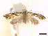  ( - CLV4581023)  @11 [ ] CreativeCommons  Attribution Non-Commercial Share-Alike (2023) Carlos Lopez Vaamonde Institut National de la Recherche Agronomique, Zoologie Forestiere