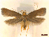  ( - CLV45855)  @11 [ ] CreativeCommons  Attribution Non-Commercial Share-Alike (2023) Carlos Lopez Vaamonde Institut National de la Recherche Agronomique, Zoologie Forestiere