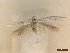  ( - CLV46056)  @11 [ ] CreativeCommons  Attribution Non-Commercial Share-Alike (2023) Carlos Lopez-Vaamonde Museum National d'Histoire Naturelle, Paris