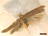  ( - CLV46105)  @11 [ ] CreativeCommons  Attribution Non-Commercial Share-Alike (2023) Carlos Lopez-Vaamonde Museum National d'Histoire Naturelle, Paris