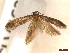  ( - CLV46352)  @11 [ ] CreativeCommons  Attribution Non-Commercial Share-Alike (2023) Carlos Lopez-Vaamonde Museum National d'Histoire Naturelle, Paris