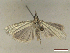  ( - CLV46702)  @11 [ ] CreativeCommons  Attribution Non-Commercial Share-Alike (2022) Carlos Lopez Vaamonde Institut National de la Recherche Agronomique, Zoologie Forestiere