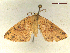  ( - CLV46776)  @11 [ ] CreativeCommons  Attribution Non-Commercial Share-Alike (2022) Carlos Lopez Vaamonde Institut National de la Recherche Agronomique, Zoologie Forestiere