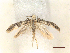  ( - CLV46988)  @11 [ ] CreativeCommons  Attribution Non-Commercial Share-Alike (2022) Carlos Lopez Vaamonde Institut National de la Recherche Agronomique, Zoologie Forestiere