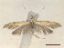  ( - CLV47173)  @11 [ ] CreativeCommons  Attribution Non-Commercial Share-Alike (2022) Carlos Lopez Vaamonde Institut National de la Recherche Agronomique, Zoologie Forestiere