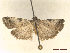  ( - CLV47657)  @11 [ ] CreativeCommons  Attribution Non-Commercial Share-Alike (2021) Carlos Lopez Vaamonde Institut National de la Recherche Agronomique, Zoologie Forestiere