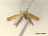  ( - CLV47773)  @11 [ ] CreativeCommons  Attribution Non-Commercial Share-Alike (2022) Carlos Lopez Vaamonde Institut National de la Recherche Agronomique, Zoologie Forestiere