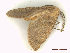  ( - CLV47929)  @11 [ ] CreativeCommons  Attribution Non-Commercial Share-Alike (2022) Carlos Lopez Vaamonde Institut National de la Recherche Agronomique, Zoologie Forestiere