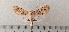  ( - CLV49474)  @11 [ ] CreativeCommons  Attribution Non-Commercial Share-Alike (2025) Carlos Lopez Vaamonde Institut National de la Recherche Agronomique, Zoologie Forestiere