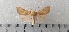  ( - CLV49484)  @11 [ ] CreativeCommons  Attribution Non-Commercial Share-Alike (2025) Carlos Lopez Vaamonde Institut National de la Recherche Agronomique, Zoologie Forestiere