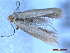 ( - CLV49781)  @11 [ ] CreativeCommons  Attribution Non-Commercial Share-Alike (2025) Carlos Lopez Vaamonde Institut National de la Recherche Agronomique, Zoologie Forestiere