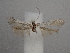  ( - CLV49840)  @11 [ ] CreativeCommons  Attribution Non-Commercial Share-Alike (2025) Carlos Lopez Vaamonde Institut National de la Recherche Agronomique, Zoologie Forestiere