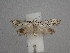  ( - CLV49870)  @11 [ ] CreativeCommons  Attribution Non-Commercial Share-Alike (2025) Carlos Lopez Vaamonde Institut National de la Recherche Agronomique, Zoologie Forestiere