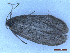  ( - CLV49964)  @11 [ ] CreativeCommons  Attribution Non-Commercial Share-Alike (2025) Carlos Lopez Vaamonde Institut National de la Recherche Agronomique, Zoologie Forestiere
