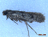  ( - CLV50119)  @11 [ ] CreativeCommons  Attribution Non-Commercial Share-Alike (2025) Carlos Lopez Vaamonde Institut National de la Recherche Agronomique, Zoologie Forestiere