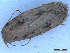  ( - CLV50126)  @11 [ ] CreativeCommons  Attribution Non-Commercial Share-Alike (2025) Carlos Lopez Vaamonde Institut National de la Recherche Agronomique, Zoologie Forestiere