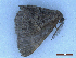  ( - CLV50128)  @11 [ ] CreativeCommons  Attribution Non-Commercial Share-Alike (2025) Carlos Lopez Vaamonde Institut National de la Recherche Agronomique, Zoologie Forestiere