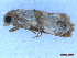  ( - CLV50139)  @11 [ ] CreativeCommons  Attribution Non-Commercial Share-Alike (2025) Carlos Lopez Vaamonde Institut National de la Recherche Agronomique, Zoologie Forestiere