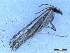  ( - CLV50141)  @11 [ ] CreativeCommons  Attribution Non-Commercial Share-Alike (2025) Carlos Lopez Vaamonde Institut National de la Recherche Agronomique, Zoologie Forestiere