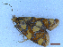  ( - CLV50255)  @11 [ ] CreativeCommons  Attribution Non-Commercial Share-Alike (2025) Carlos Lopez Vaamonde Institut National de la Recherche Agronomique, Zoologie Forestiere