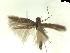  ( - CLV8014)  @11 [ ] CreativeCommons  Attribution Non-Commercial Share-Alike (2019) Carlos Lopez Vaamonde Institut National de la Recherche Agronomique, Zoologie Forestiere
