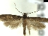  ( - CLV8138)  @11 [ ] CreativeCommons  Attribution Non-Commercial Share-Alike (2019) Carlos Lopez Vaamonde Institut National de la Recherche Agronomique, Zoologie Forestiere