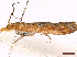  ( - FLA193)  @11 [ ] CreativeCommons  Attribution Non-Commercial Share-Alike (2022) Carlos Lopez Vaamonde Institut National de la Recherche Agronomique, Zoologie Forestiere