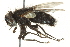  ( - BIOUG02033-D10)  @13 [ ] CreativeCommons - Attribution (2012) CBG Photography Group Centre for Biodiversity Genomics