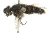  ( - BIOUG02033-D12)  @12 [ ] CreativeCommons - Attribution (2012) CBG Photography Group Centre for Biodiversity Genomics