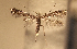  ( - AK0227)  @13 [ ] Copyright (2012) Atsushi Kawakita Unspecified
