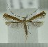  (Deoptilia - AK0155)  @14 [ ] Copyright (2011) Atsushi Kawakita Unspecified
