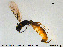  ( - Qa15M3Ba2)  @13 [ ] Creative Commons  Attribution Non-Commercial Share-Alike (2018) NTNU University Museum, Department of Natural History NTNU University Museum, Department of Natural History