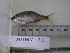  ( - AUTH07-213)  @11 [ ] Unspecified (default): All Rights Reserved  Unspecified Unspecified
