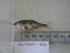 ( - AUTH07-214)  @11 [ ] Unspecified (default): All Rights Reserved  Unspecified Unspecified