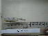  ( - AUTH09-266)  @13 [ ] Unspecified (default): All Rights Reserved  Unspecified Unspecified