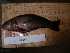  ( - AUTH10-298)  @11 [ ] Unspecified (default): All Rights Reserved  Unspecified Unspecified