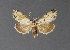  ( - DLW-001590)  @11 [ ] No Rights Reserved (2018) David L. Wikle Research Collection of David Wikle