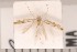  ( - CLV2341)  @11 [ ] Copyright (2011) David C. Lees Unspecified