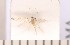  ( - CLV2441)  @12 [ ] Copyright (2010) David C. Lees Unspecified