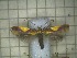  ( - CLV2553)  @13 [ ] Copyright (2011) Ian Simms Unspecified