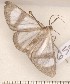  ( - CLV2650)  @13 [ ] Copyright (2011) David C. Lees Unspecified