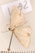  ( - CLV2651)  @12 [ ] Copyright (2011) David C. Lees Unspecified