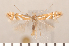  ( - CLV2677)  @14 [ ] Copyright (2011) David C. Lees Research Collection of David C. Lees